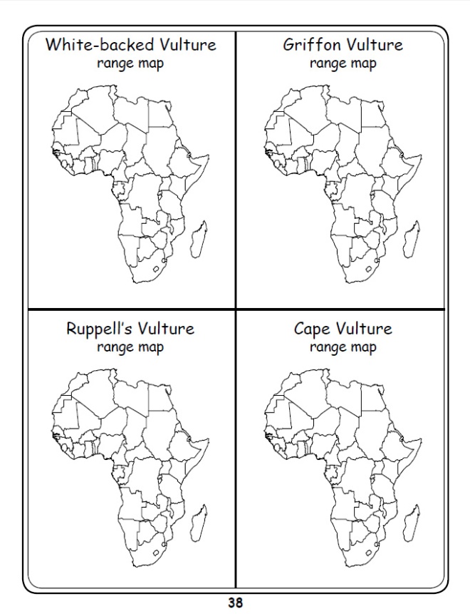 Vulture Range Map 2