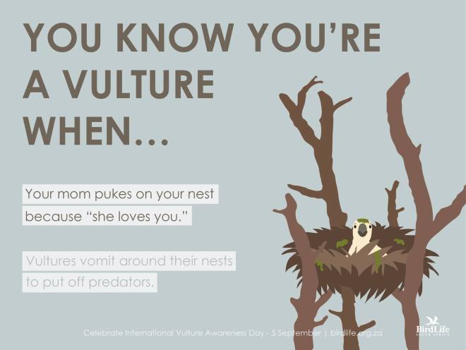 You know you're a vulture when...